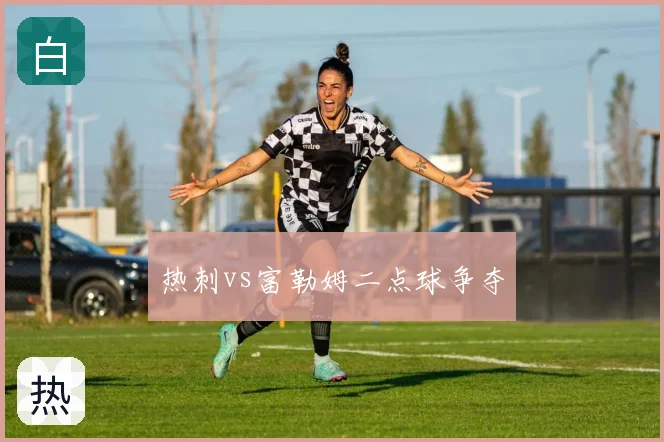 热刺vs富勒姆二点球争夺